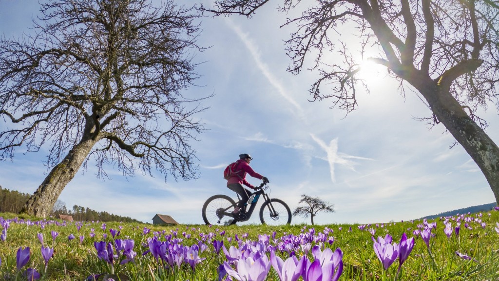 Foto: Symboldbild Frühling
