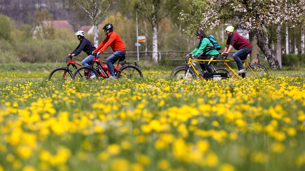 Eine Gruppe Fahrradfahrer zwischen blühenden Rapsfeldern