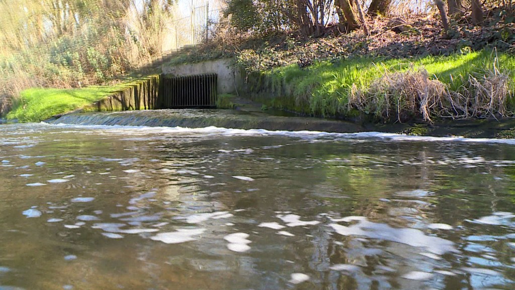 Schaum auf dem Erbach in Homburg