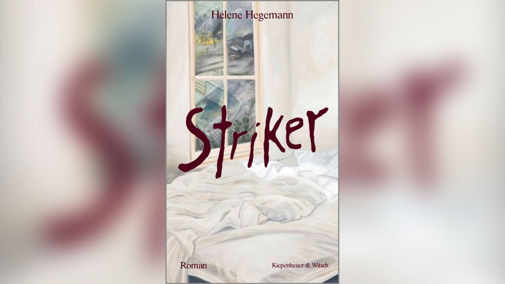Buchcover: Helene Hegemann - 