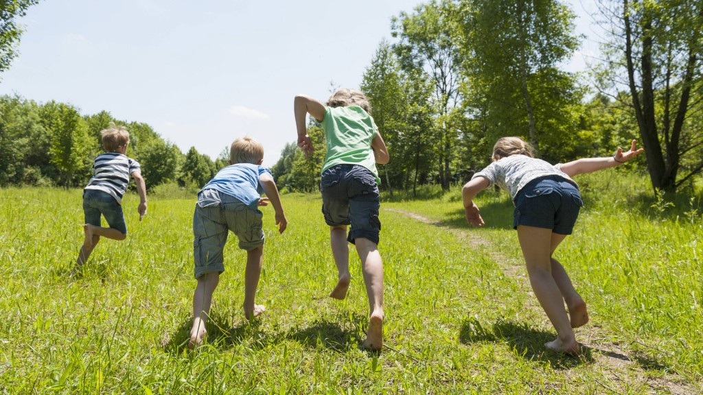 Vier Kinder laufen über eine Wiese.