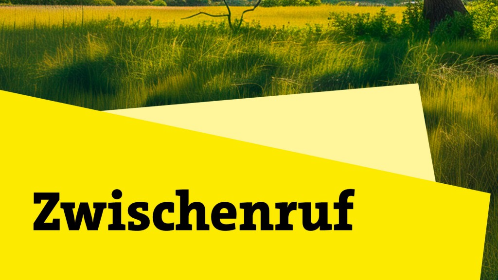 Zwischenruf