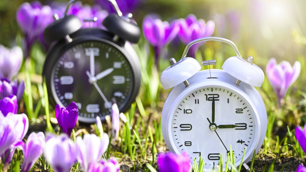 Zwei Wecker mit Frühlingsblumen, Symbolfoto für die Umstellung auf Sommerzeit 