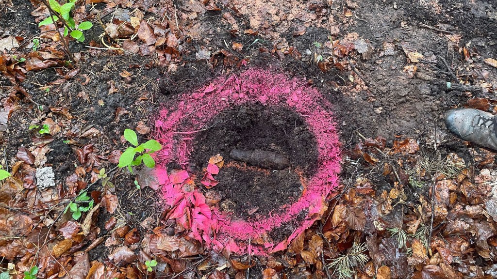Kampfmittelfund aus dem zweiten Weltkrieg im Wald zwischen Homburg und Kirrberg