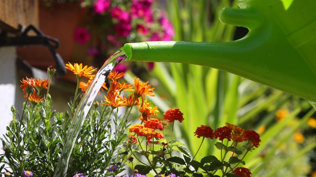 Blumen werden in einem Garten mit Wasser aus einer Gießkanne gegossen.