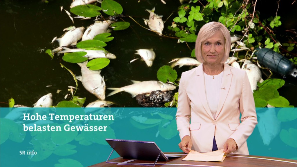 Abspielen