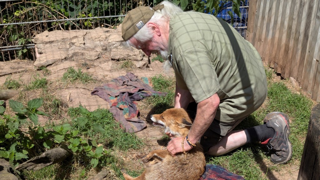 Hartmann Jenal mit seinem Fuchs Charly