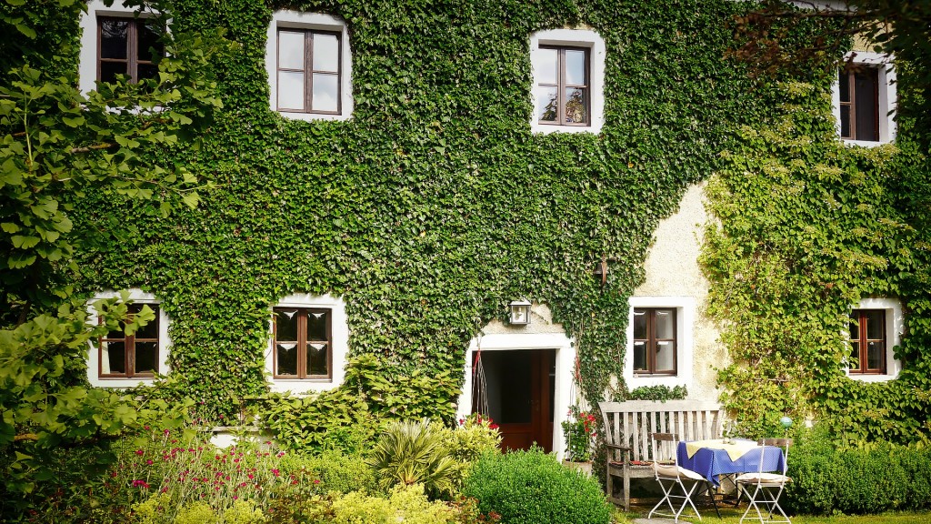 Ein mit Efeu bewachsenes Haus
