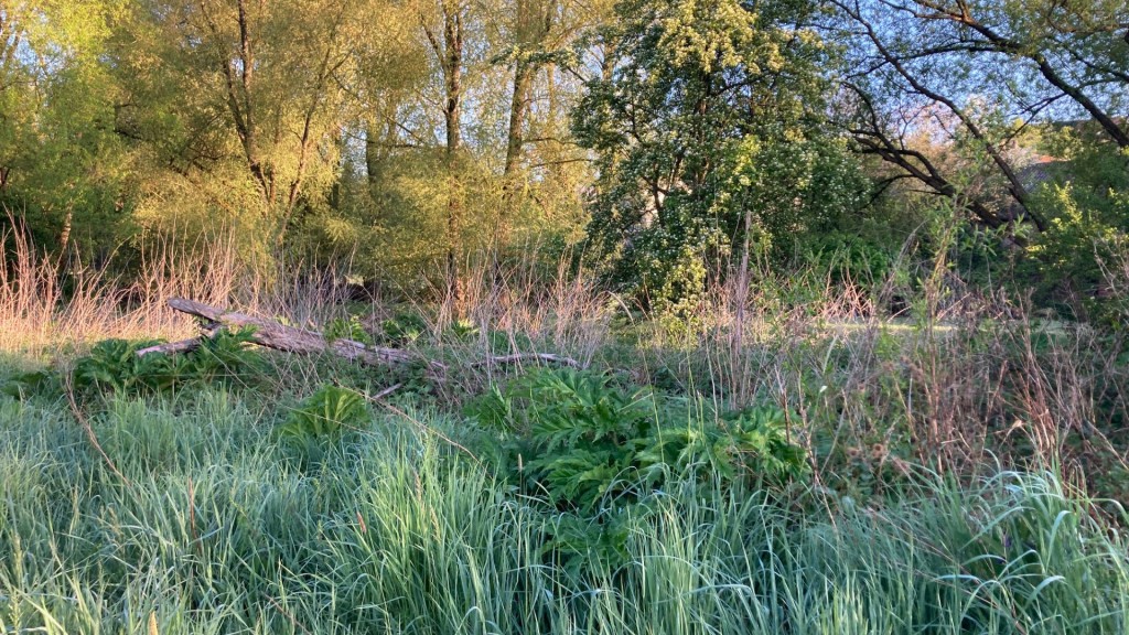 Der Biber- und Storchenweg in Bubach-Calmesweiler