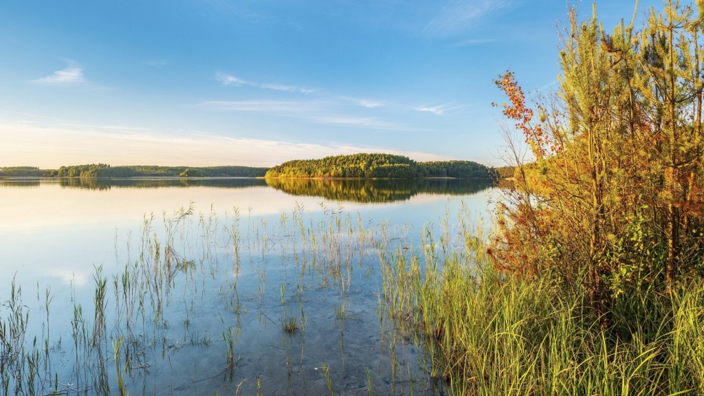 Großer Fürstenseer See mit Schilf im Abendlicht, Müritz-Nationalpark, Fürstensee, Mecklenburg-Vorpommern