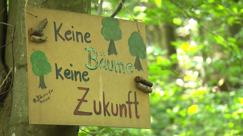 Abspielen