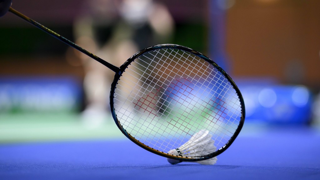 Schläger mit Federball