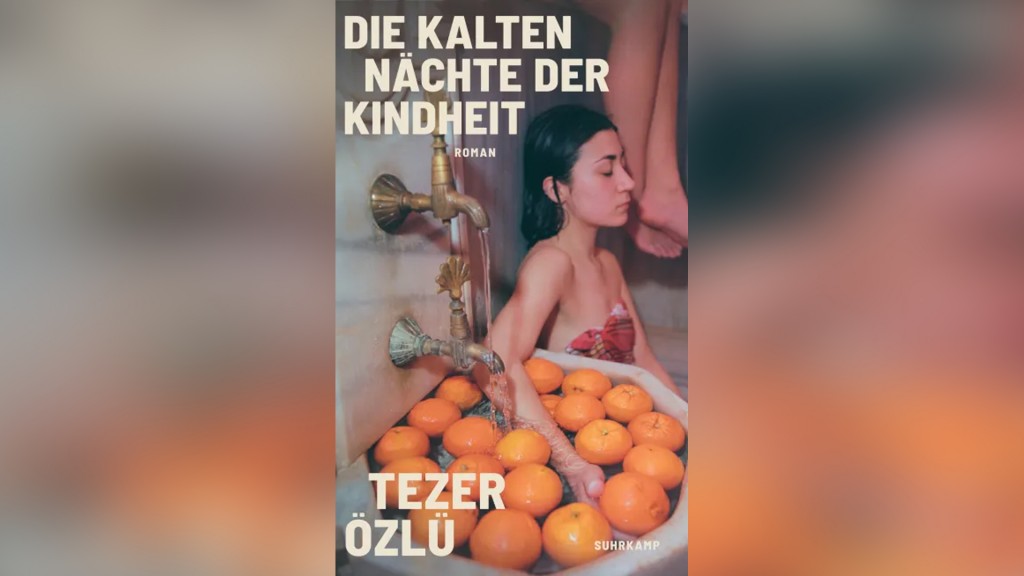 Buchcover: Tezer Özlü: 