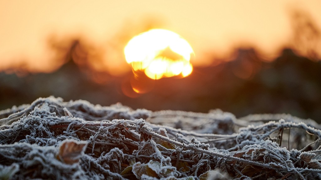 Aufgehende Wintersonne über mit Raureif bedeckten Blättern