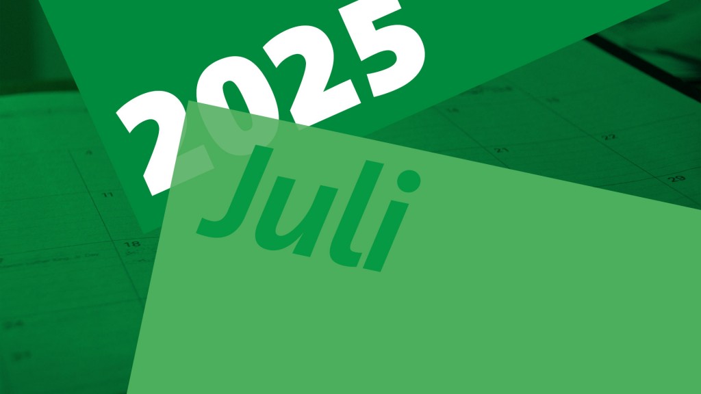 Grafik Jahresrückblick Juli 2025