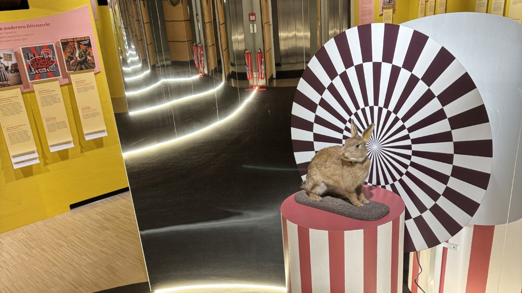 Installation mit Kaninchen in der Ausstellung 