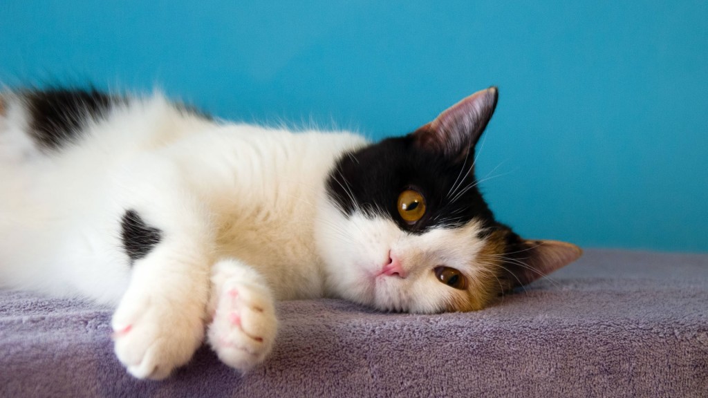 Symbolbild zum Blue Monday, dem vermeintlich traurigsten Tag des Jahres