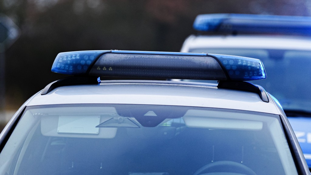 Mehrere Polizeifahrzeuge mit Blaulicht stehen an einer Straße.