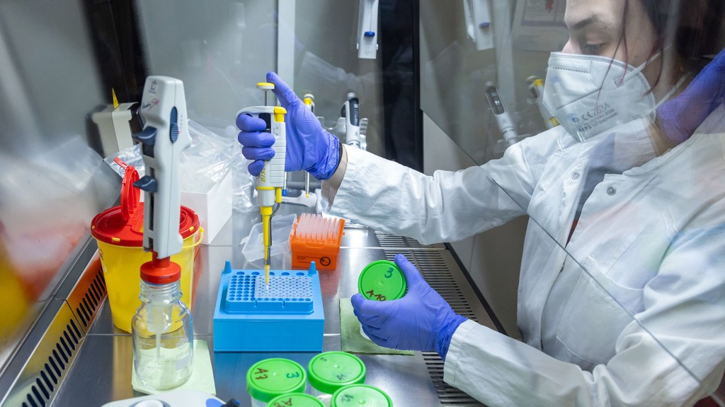 Symbolbild: Arbeit in einem medizinischen Labor