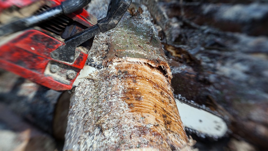 Eine Kettensäge wird an einem Baumstamm angesetzt