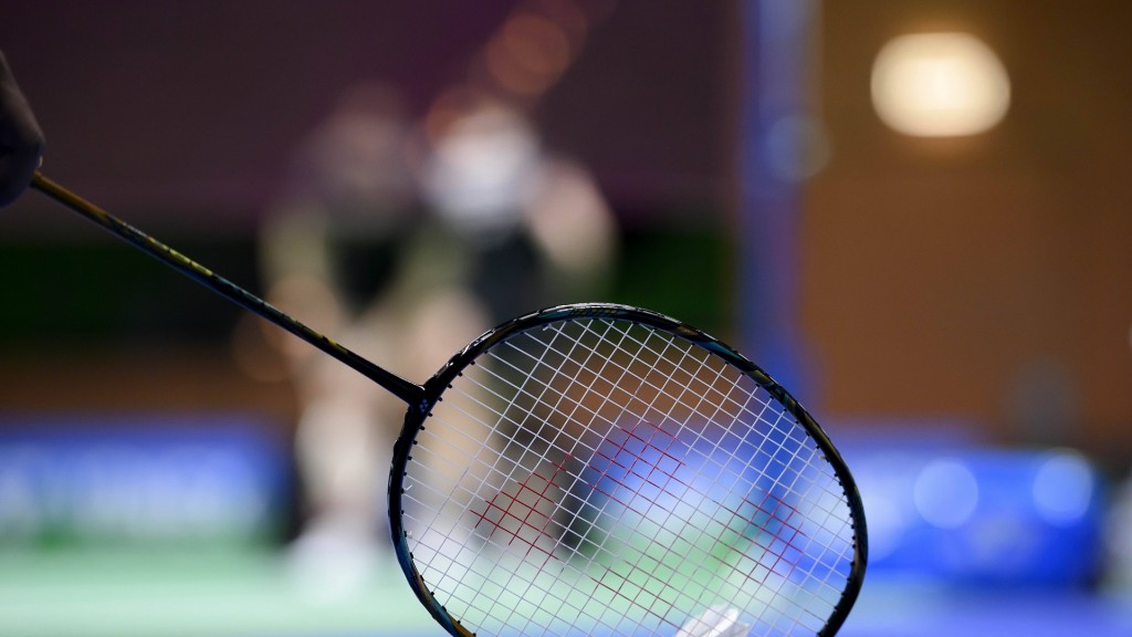 Schläger mit Federball