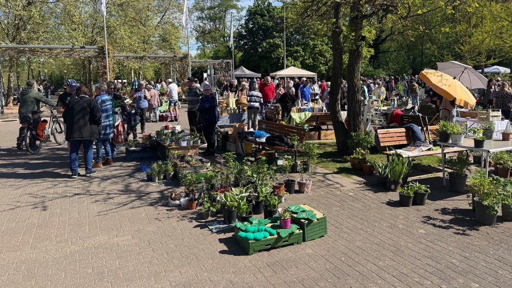 Momentaufnahme vom Pflanzenflohmarkt im DFG in Saarbrücken