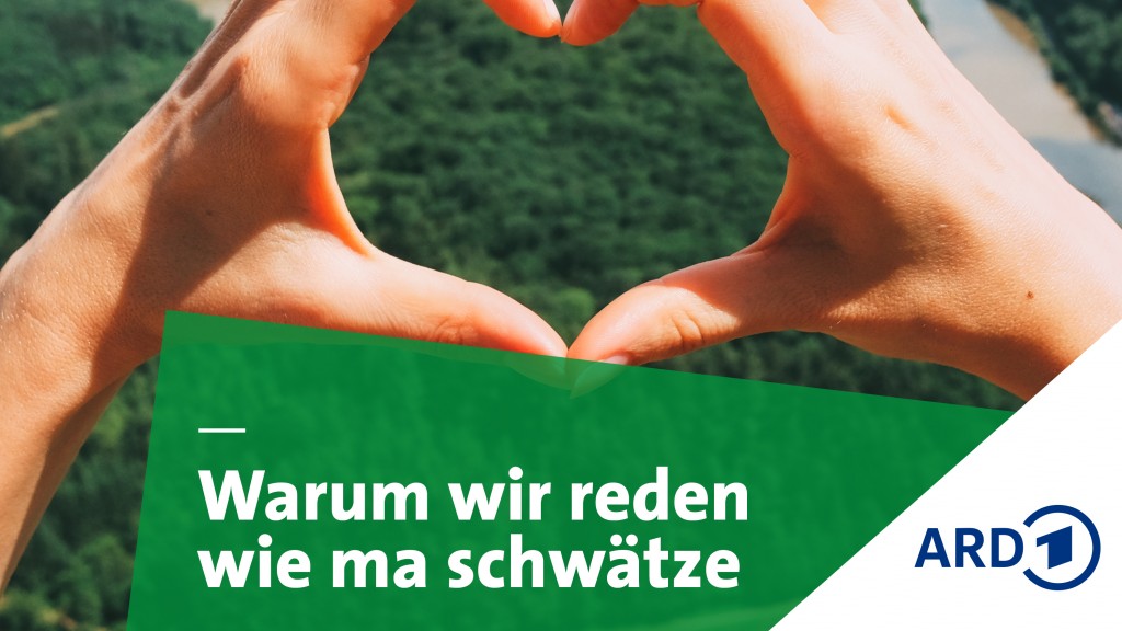 Grafik SR Warum wir so reden