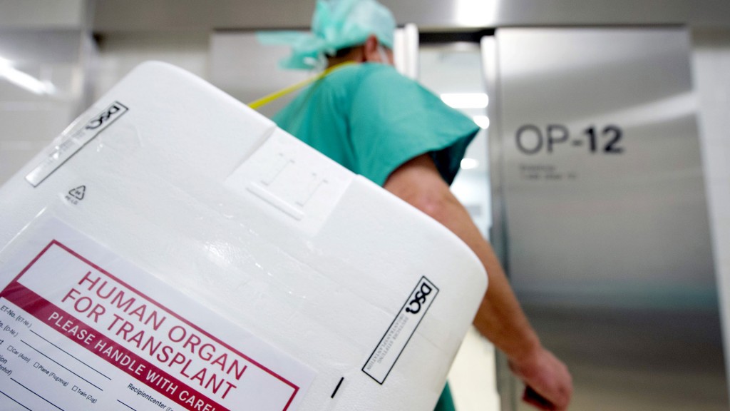 Ein Styropor-Behälter zum Transport von zur Transplantation vorgesehenen Organen wird zum Eingang eines OP-Saales getragen