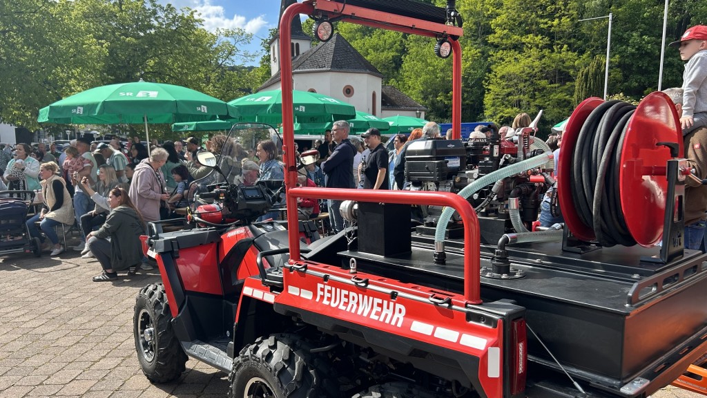 Bild zum Beitrag