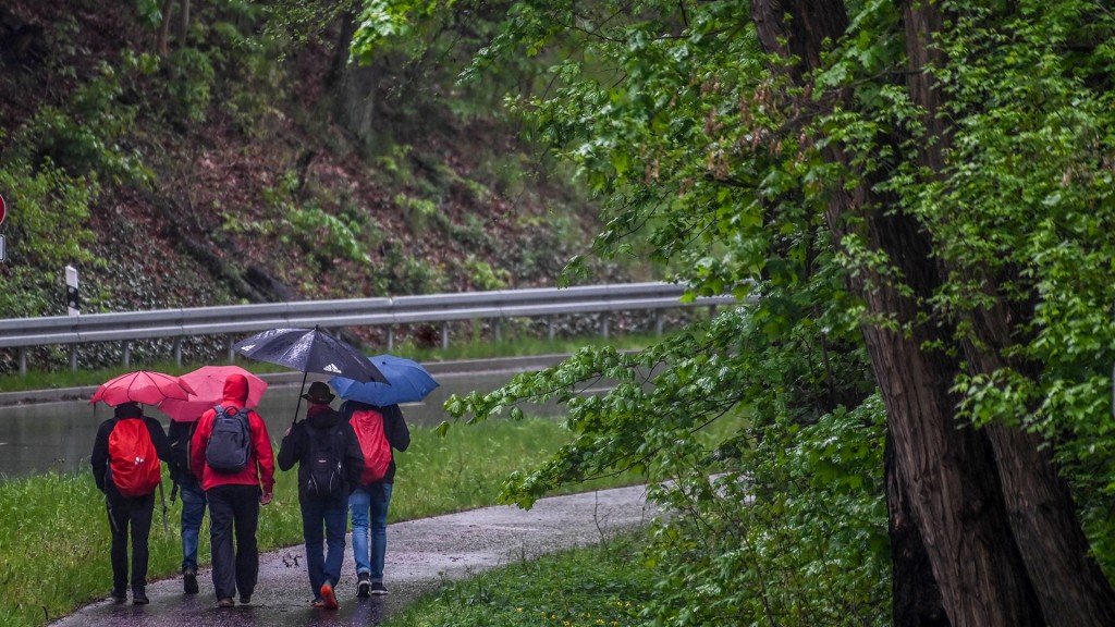 Foto: Wanderer bei Regenwetter