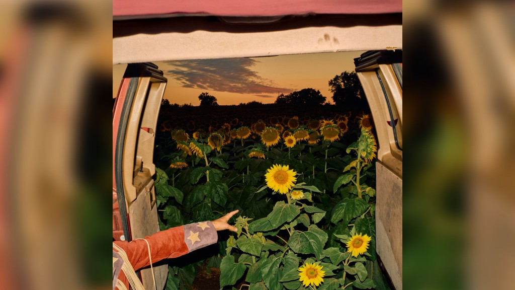 Album-Cover: Little Wide Open, Kevin Morby