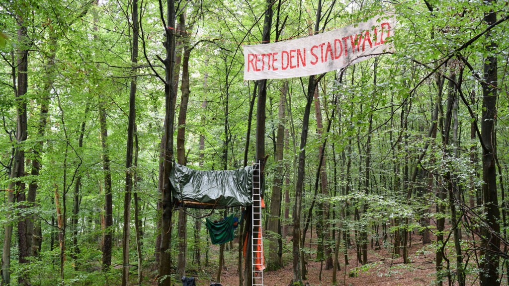 Ein Teil des Saarbrücker Stadtwalds (Hanni) ist von Umweltaktivisten besetzt (Aufnahme von 2024)