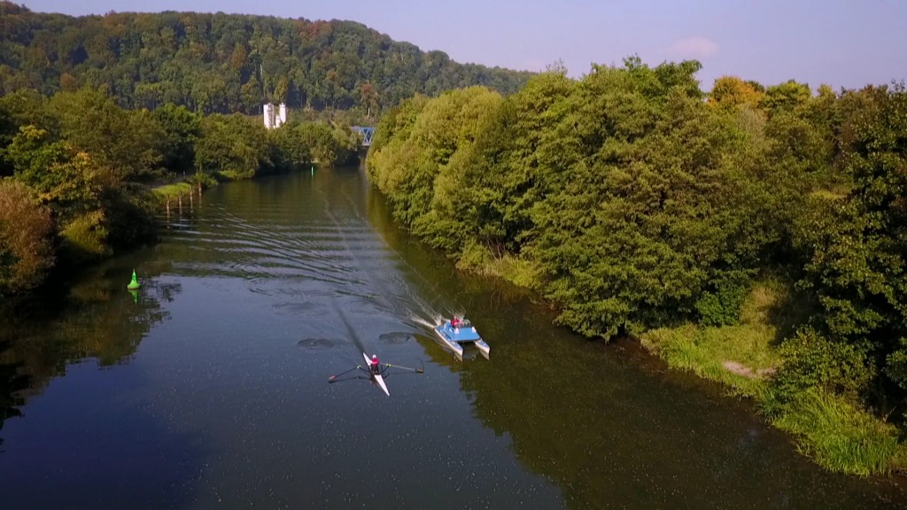 Bild zum Beitrag