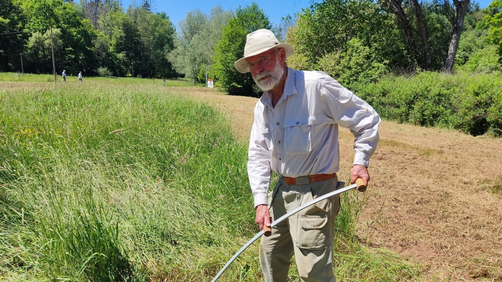 Gerhard Niklas mäht mit der Sense Gras