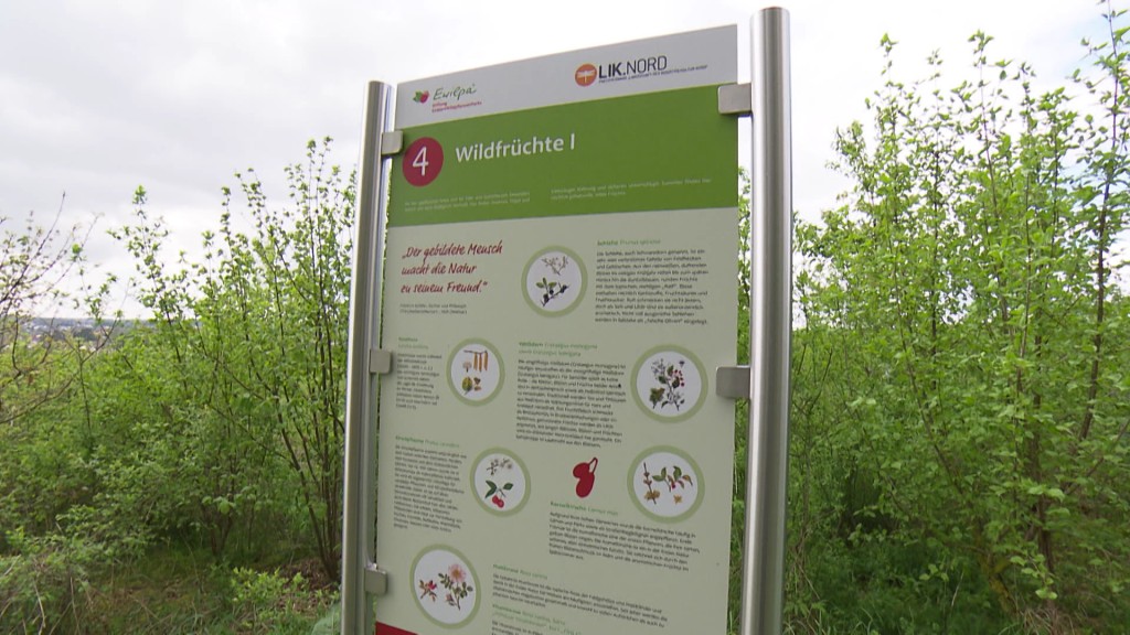 Informationstafel LIK.Nord