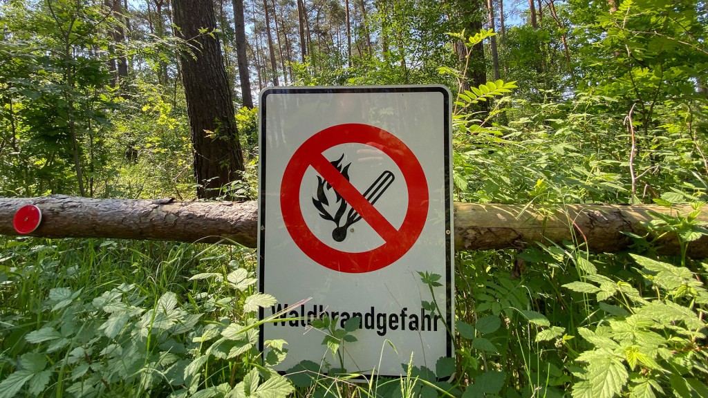 Ein Schild „Waldbrandgefahr“ hängt in einem Wald