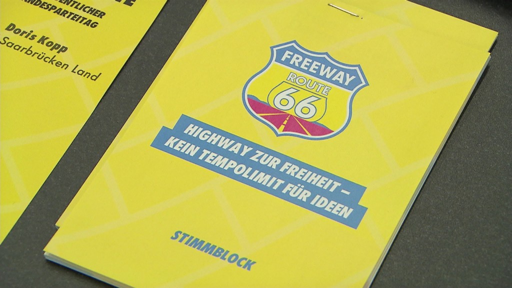 Flyer der Saar-FDP
