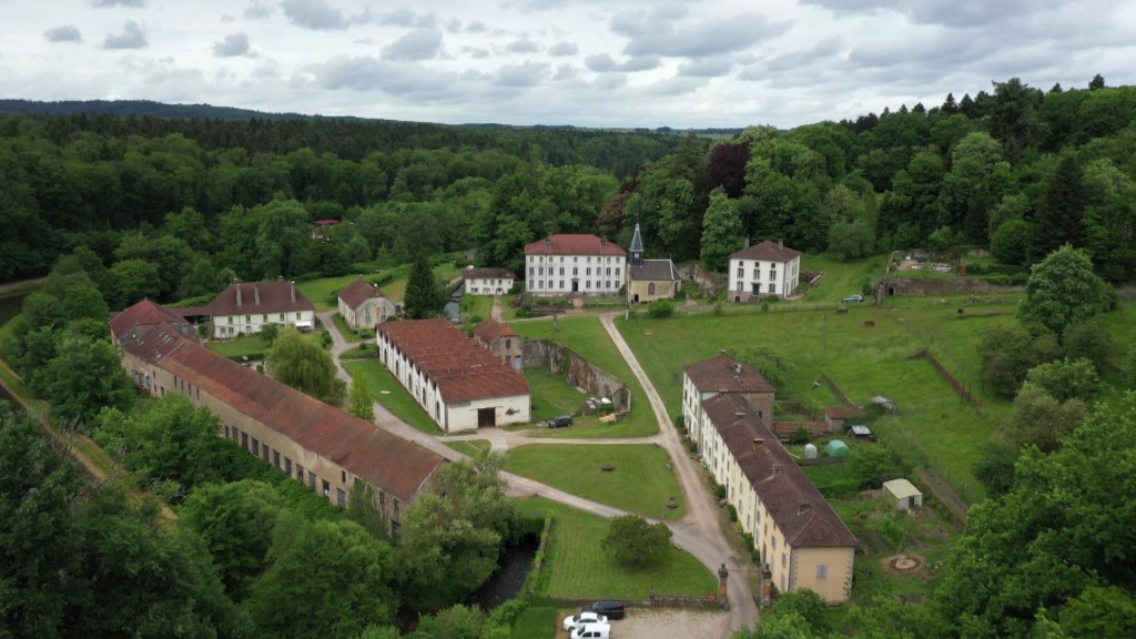 Bild zum Beitrag