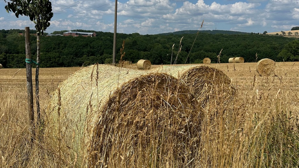 Getreideballen auf Feld in Oberlinxweiler
