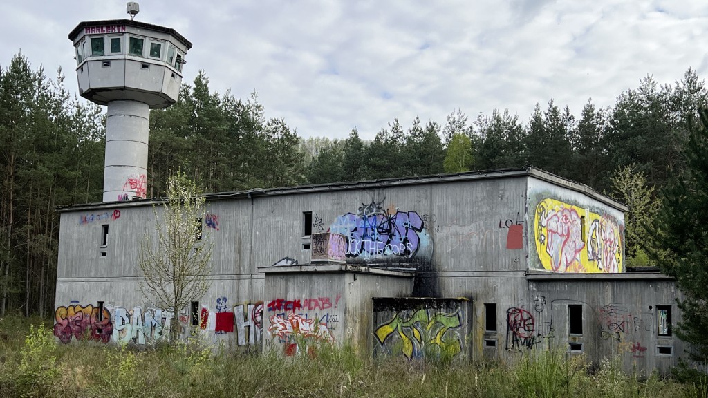 Bild zum Beitrag