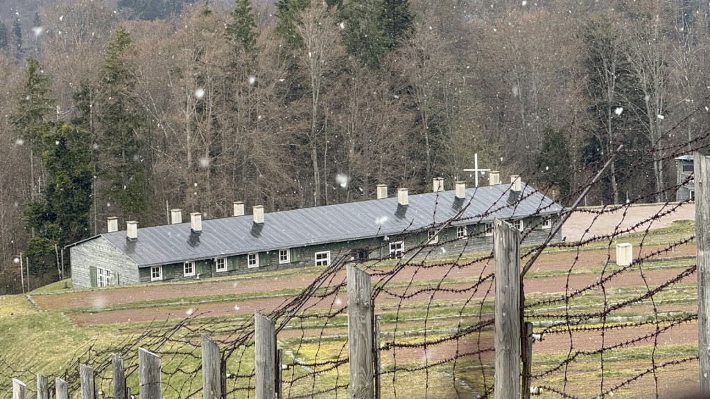 Bild zum Beitrag