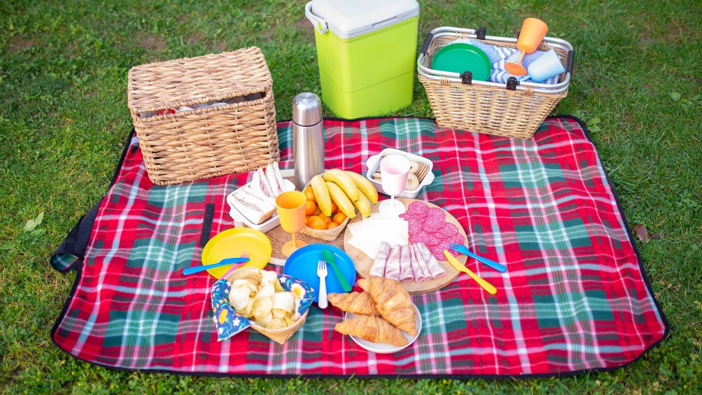 Picknick am Brühlweiher in Theley