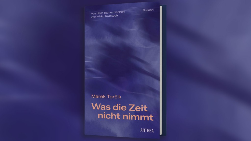 Bild zum Beitrag