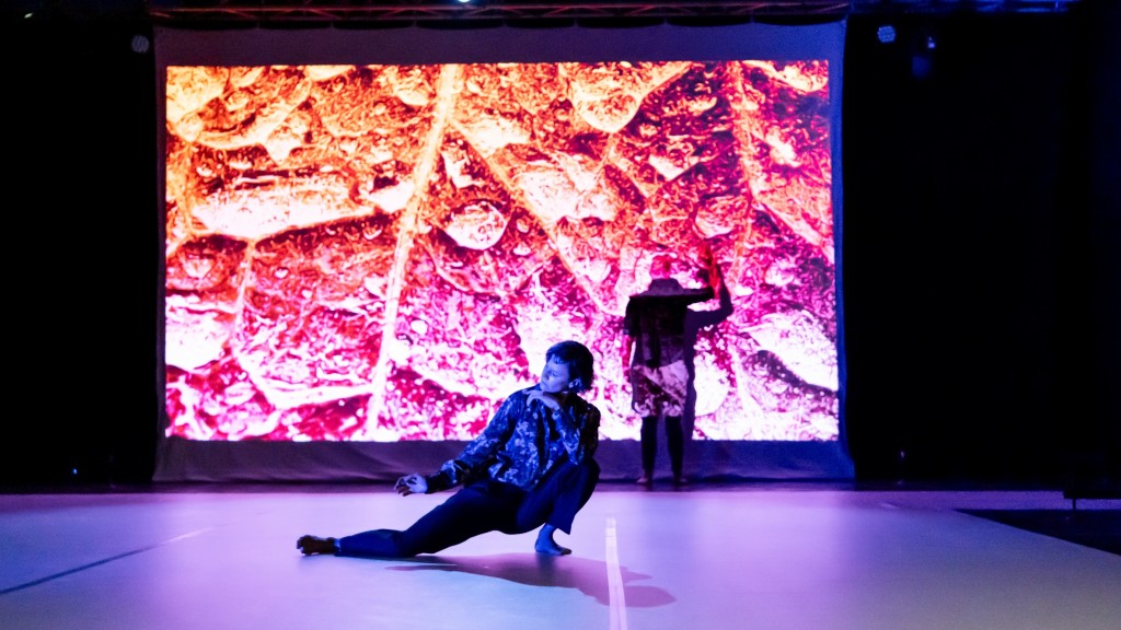 Impression vom Freistil-Festival 2024