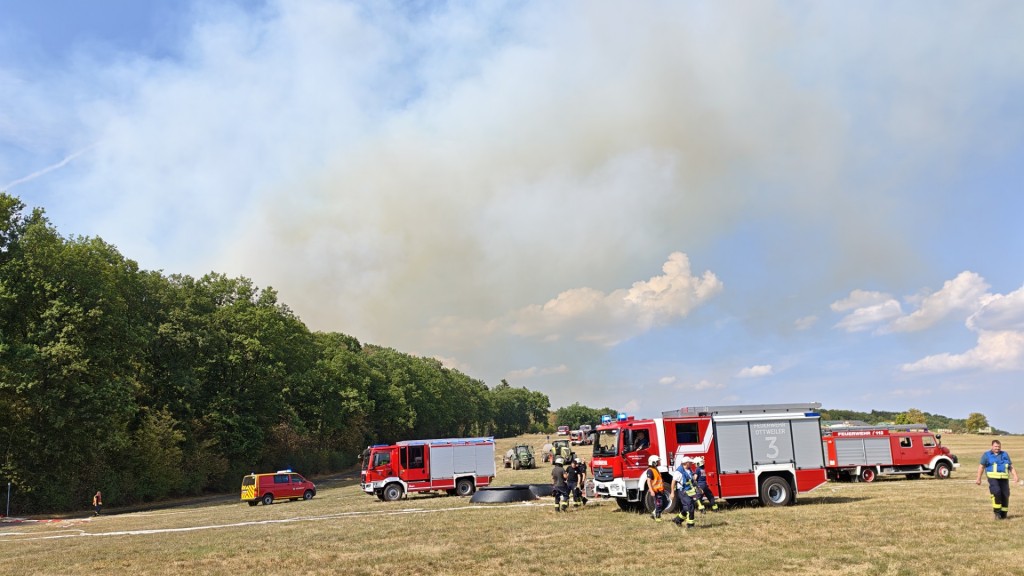 Foto: Feuerwehreinsatz vor einem Waldstück bei Illingen