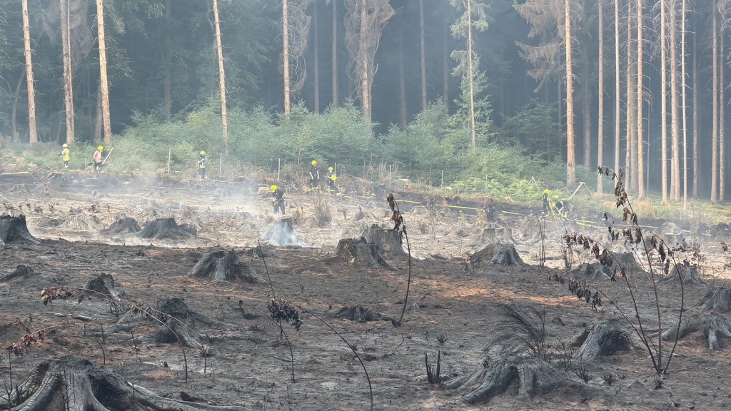 Foto: Löscharbeiten der Feuerwehr bei Waldbrand in Illingen