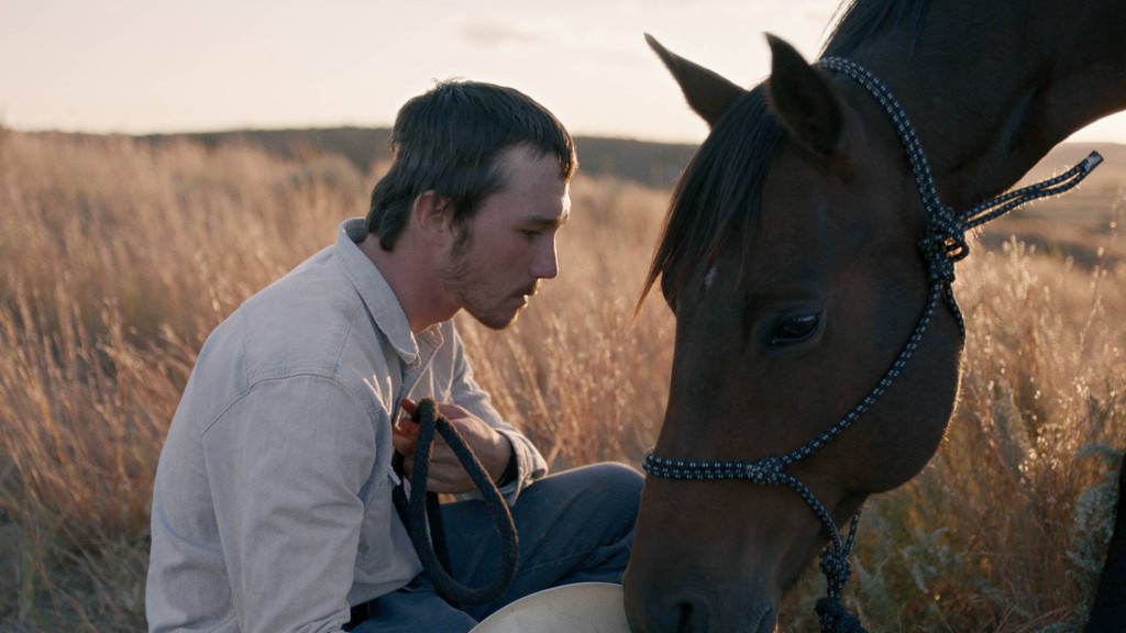 The Rider 