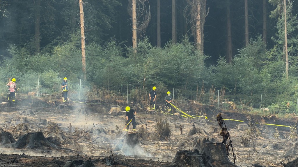 Foto: Löscharbeiten bei Waldbrand in Illingen