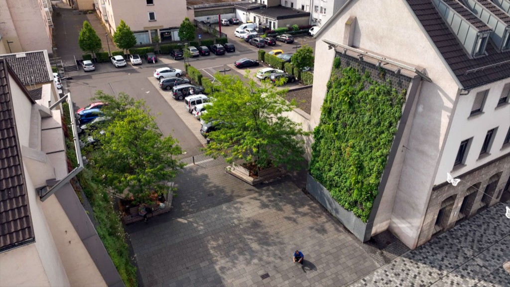Ein sogenannter Vertikalgarten als Stadtbegrünung an einer Hauswand in Dillingen