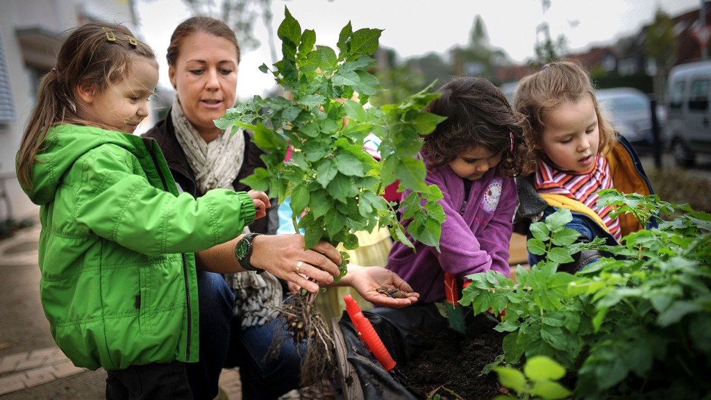 Symbolbild: Kinder und Erzieherin an einem Lerngarten
